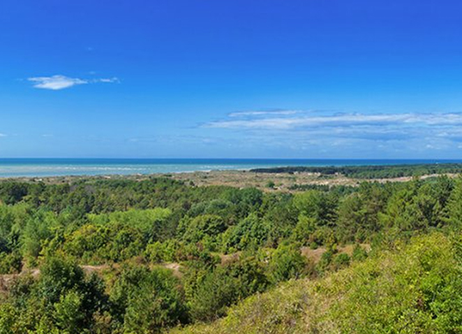 Découvrez la réserve naturelle de la Baie de Canche